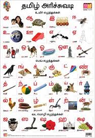 buy tamil alphabet front back educational wall charts