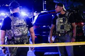 Nearly half of FBI agents reassigned to support ICE immigration effort | Al  Mayadeen English