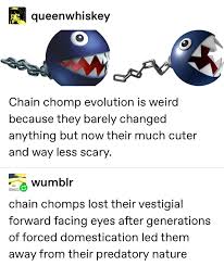 Image result for chain chomp