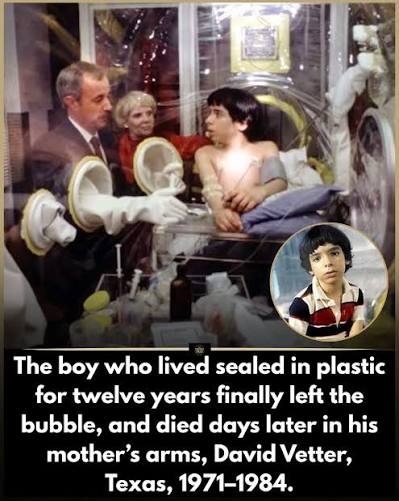 The Boy in the Plastic Bubble, a made-for-TV movie starring John Travolta,  debuted on ABC on November 12, 1976. It was inspired by the real-life  stories of David Vetter (born 1971)