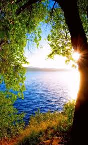 Foto Animada Nature Photography Beautiful Landscapes Beautiful Nature