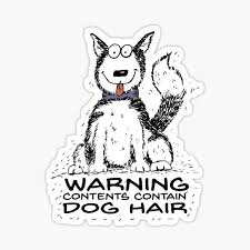 Husky puppies are the cutest dogs ever! Husky Art Stickers Redbubble