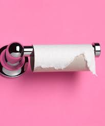 Got kids in the house? Toilet Paper Is The Only Thing You Should Be Flushing