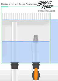Herbie Overflow Animation Reef Aquarium Aquarium Sump Reef Tank