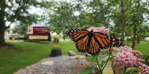Pollinator Celebration