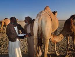 But you may be wondering what is so special about this milk that makes it superior than cow milk. Camel Milk Benefits In Islam In Urdu Oontni K Doodh K Fayde Al Safa Dawakhana