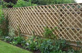 Trellis Fencing Trellis Fence Garden Trellis Fence Garden Trellis