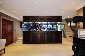 Buy the newest aquariums with the latest sales & promotions ★ find cheap offers ★ browse our wide selection of products. Amazing Aquariums Only Millionaires Can Afford Loveproperty Com