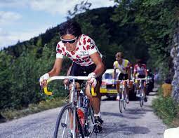 1,171 likes · 90 talking about this. Capovelo Com Luis Herrera
