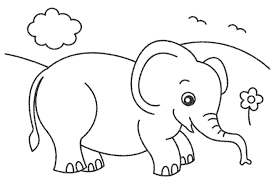 40 Sketsa Gambar Hewan Gajah Yang Mudah Terbaik Koleksi Gambar Sketsa Terlengkap