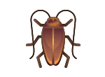 Whether you need help keeping ants out of your kitchen or rodent removal in. Residential Pest Control Allgood Pest Solutions Georgia Tennessee
