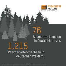 200 Jahre Holzkompetenz Bei Fingerhaus In 2020 Fingerhaus Holzfertighaus Baustoffe