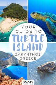 Spotting Turtles On Turtle Island Zakynthos Goats On The Road In 2020 Zakynthos Travel Dreams Greece Travel