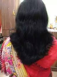 We did not find results for: U Cut Hairstyle For Women