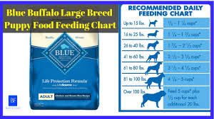 blue buffalo large breed puppy food feeding chart best pet