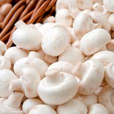 The best place to grow these mushrooms is on a deep tray that can be covered with the mushroom growing components like dung straw etc. Mushroom Windowsill Kit White Button Suttons