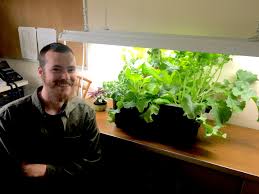 Most fluorescent lights are built to be full spectrum brightness. Best Grow Lights For Growing Vegetables Indoors The Old Farmer S Almanac