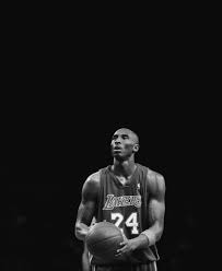 Kobe Bryant T Shirts Kobe Bryant Pictures Kobe Bryant Nba Kobe Bryant