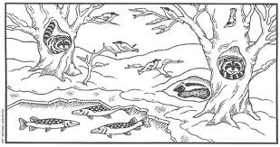 Hibernating bear coloring sheet sketch coloring page. Hibernation Coloring Pages For Kids