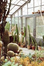Named after the mohave tribe of native americans, it occupies well. 570 Wustenpflanzen Ideas Plants Desert Plants Planting Succulents