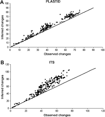 Image result for Satyrium coriophoroides