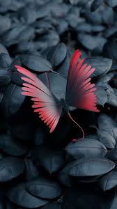 Vector tagged as abstract, backdrop, background, butterfly, butterfly shape Red Butterfly Wallpaper Download Mobcup