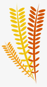 You can also click related recommendations to view more background images in our huge database. Thanksgiving Border Png Download Transparent Thanksgiving Border Png Images For Free Nicepng
