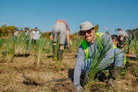 Kerja di new zealand sebenarnya tidak sesulit yang kita bayangkan. New Zealand Working Holiday Tourism New Zealand