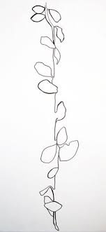 Ellsworth Kelly Contour Drawing Plant Drawing Contour Line Drawing