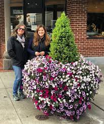 Downtown Pot Update Can You Believe The Flowers Still Look This Amazing On November 1st We Ve Seen Temps As Low A Container Gardening Flowers Garden Flowers