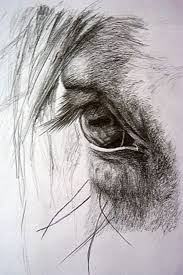 See more ideas about horses, horse drawings, drawings. Striking Horse Paintings Like Never Seen Horse Drawings Equine Art Horse Painting