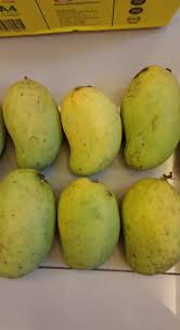 What are some restaurants close to harum manis country house? Mangga Harum Manis Dari Perlis Startseite Facebook