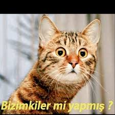 We would like to show you a description here but the site won't allow us. Bizimkiler Mi Yapmis Kedi Elektrik Kesinti Turkiye Flickr