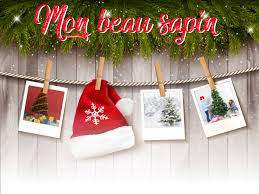 Juan arbalaez rejoint valérie damidot dès le 25 novembre sur tf1. Concours Photos De Noel Mon Beau Sapin