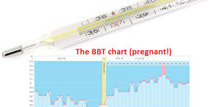 How To Calculate The Ovulation With Bbt Examples