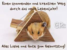 Greifen sie mit abos auf alle bilder von istock zu und übertragen sie ungenutzte downloads Coolphotos De Grusskarten Lustige Geburtstagskarten