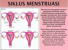 Enam bulan setelah persalinan, biasanya rambut atau. Enjoy Healthy Life Kenali Tanda Tanda Menstruasi Haid
