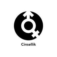 Pornografik içerikli platform yönettikleri tespit edilen 48 kişi gözaltına  alındı.
