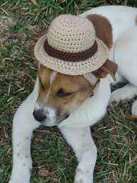 Dog Hat Dog Costume The Sherlock Hounds Detectives Hat Dog Bowler Hat Any Size 20 00 Via Etsy Dog Costume Dog Hat Sun Dogs