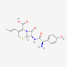 Image result for Cefprozil