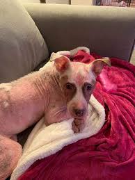 Check spelling or type a new query. Home