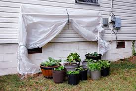 There are active and passive solar greenhouse heating systems that you can implement for your greenhouse. Pin On Lawn N Garden Ideas