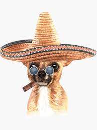 Chihuahua In Watercolors With Mexican Hat Cigar And Glasses Sticker By Kanae19 Mexican Hat Dog With Glasses Chihuahua