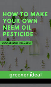 Neem products do not necessarily provide absolute insect control. How To Make Your Own Neem Oil Pesticide Insect Spray Neem Oil Pesticides For Plants