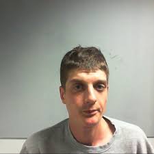 Burglar who bit guard's arm jailed