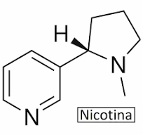 Nicotina Liquida 99.99% de Pureza USP Grado Farmacéutico ...
