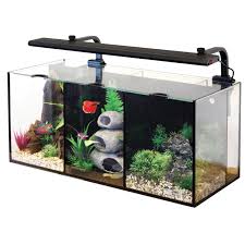 Aqua One Betta Trio Betta Fish Tank Betta Aquarium Betta Fish
