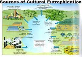 Image Result For Eutrophication Definition Water Pollution Solutions Water Pollution Water Pollution Poster
