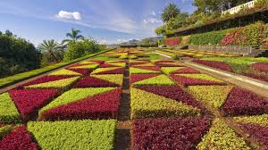 Looking for the best wallpapers? Flower Garden Wallpapers Wallpaper Cave