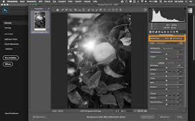 Eur 19,90 bis eur 33,90. Photoshop Cc Bilder In Schwarzweiss Umwandeln Blog Kaikutzki De